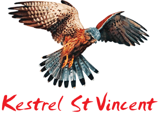 Kestrel St Vincent logo